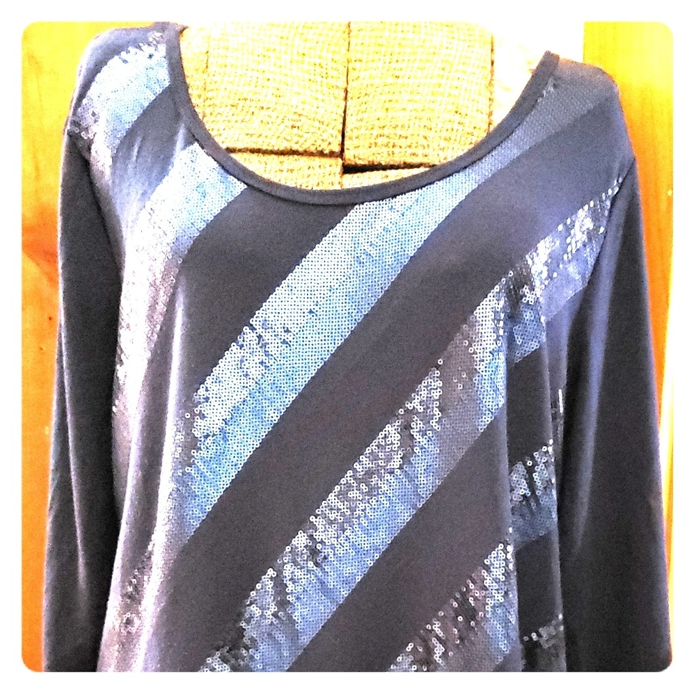 Blue Sequin Tunic